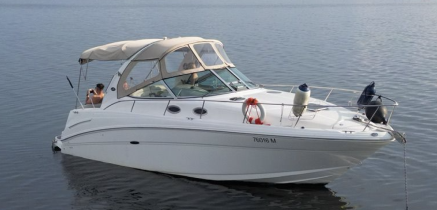 Motorboot Searay DA300 mieten