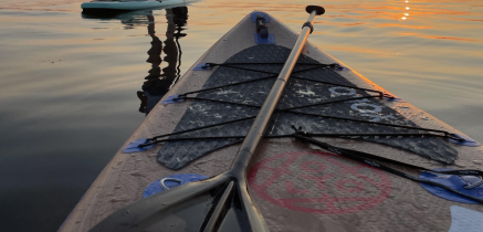 Sup - Stand up Paddling SUP Tour - After Work, Junggesellinenabschied oder Teamevent mieten
