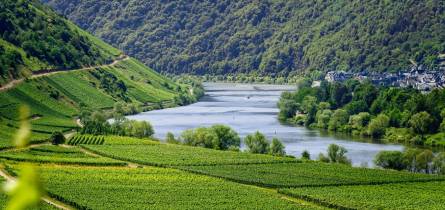 Bootsverleih Boot mieten Mosel