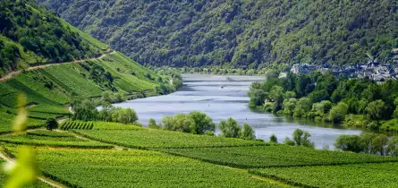 Boot mieten an der Mosel
