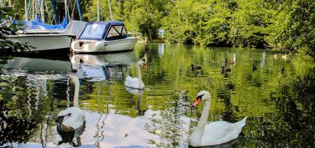 mietboote Bootscharter Boot mieten ohne Führerschein in Berlin ? Entspannt auf der Spree 2025