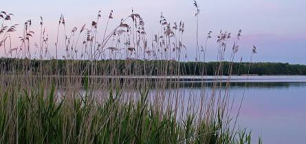 Bootsverleih Brandenburg