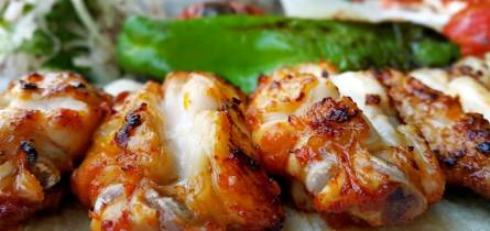 mietboote Bootscharter Grillboote