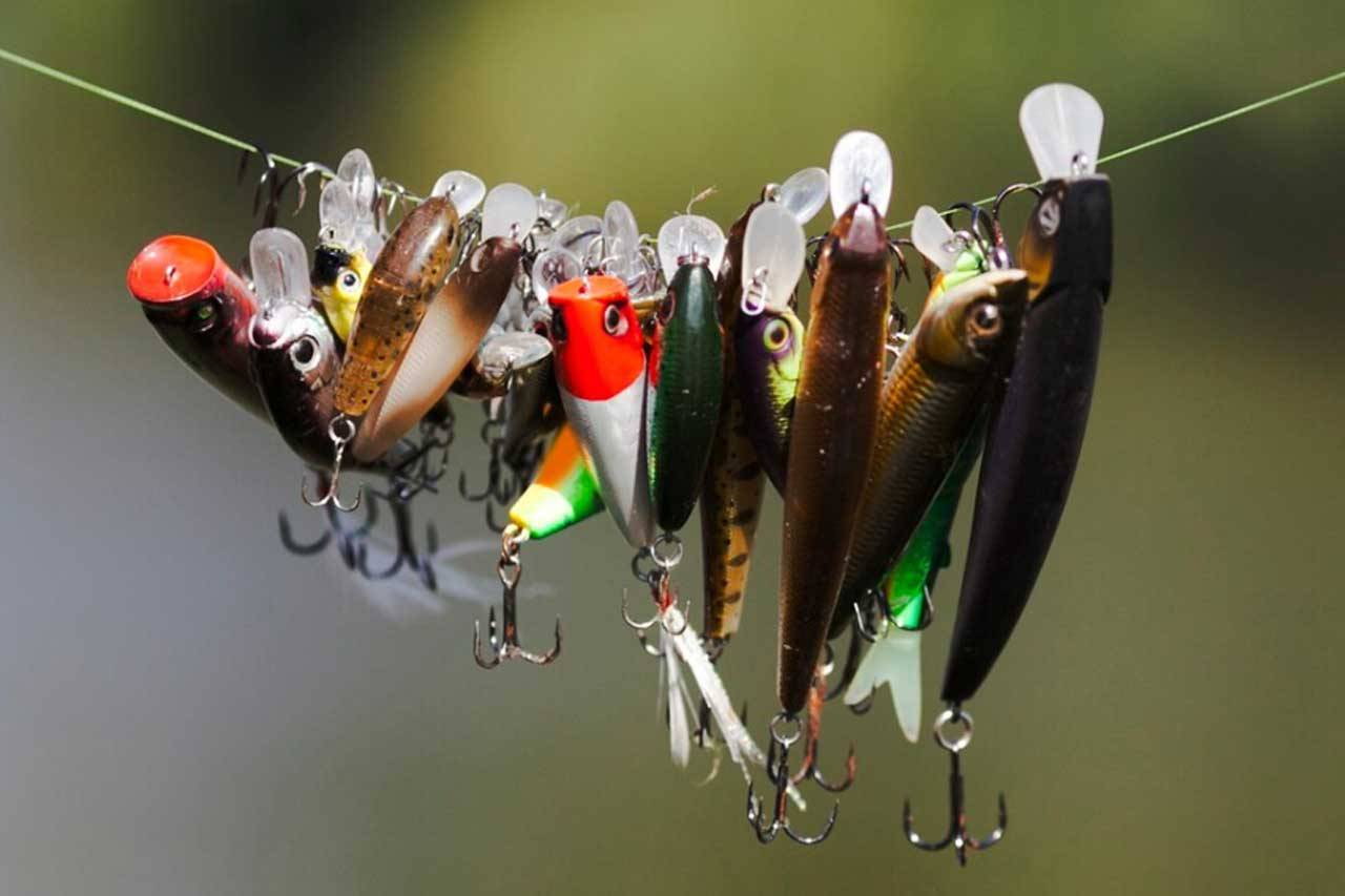 E-Foil Erlebnis Berlin