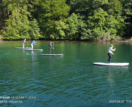 Kajaks und SUPs Bild 2